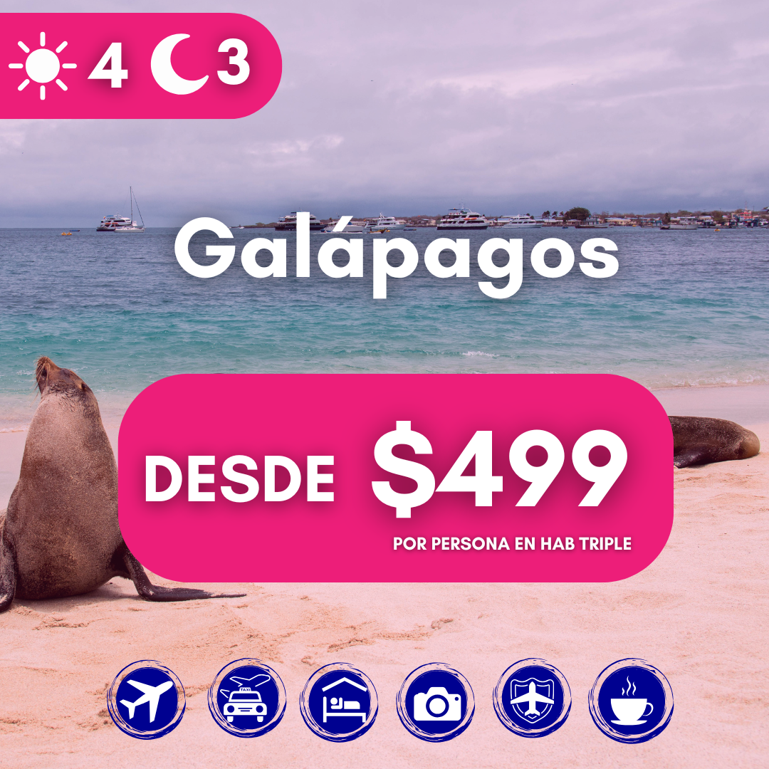 programas (2)